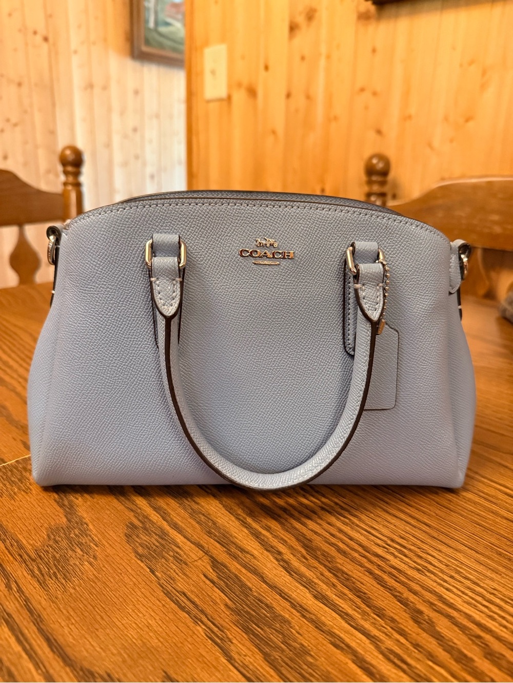 Coach Pebbled Leather Dome Satchel in Light Blue